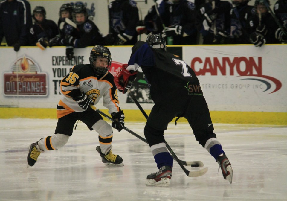 Peewee AA Bruins
