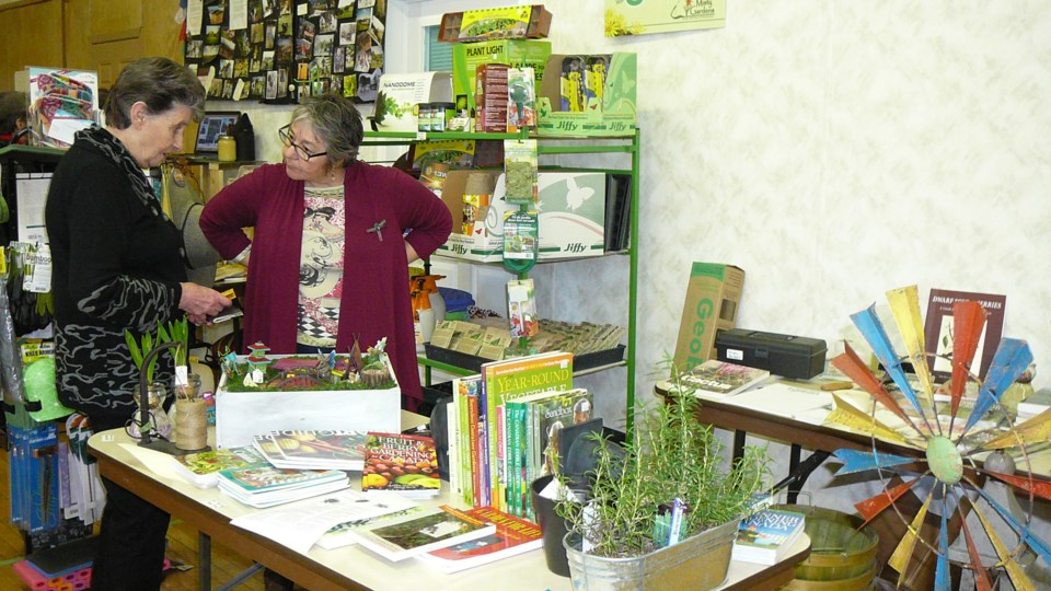 Seedy Sunday - March 8