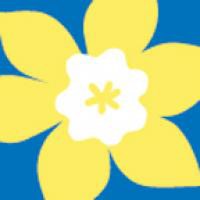 Canadian Cancer Society Daffodil