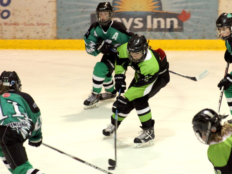 peewee girls vipers hockey 2015