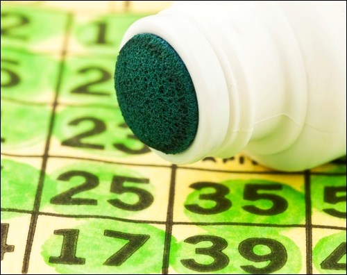 Bingo pic