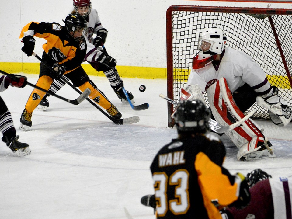 peewee A bruins