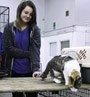 A Guardian Angel Animal Rescue’s volunteer supervises a homeless kitten during a pet adoption event at the Agri-Pavillion March 21. In addition to looking for permanent homes for rescues, GAAR also needs foster parents. Call 306 621 4114.