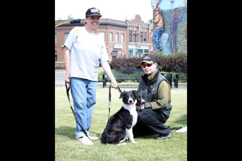 Polycephaly, a form of conjoined or “Siamese” twins in which an animal is born with two heads is actually much more common than people think. And unlike other forms of conjoined twins where, for example, the twins share internal organs, they can live long and healthy lives. This Yorkton area border collie does very well with its two heads.