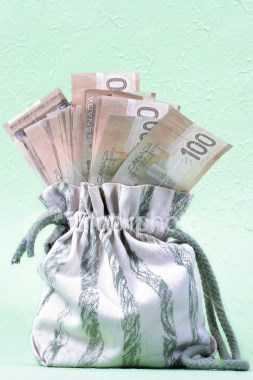 money bag