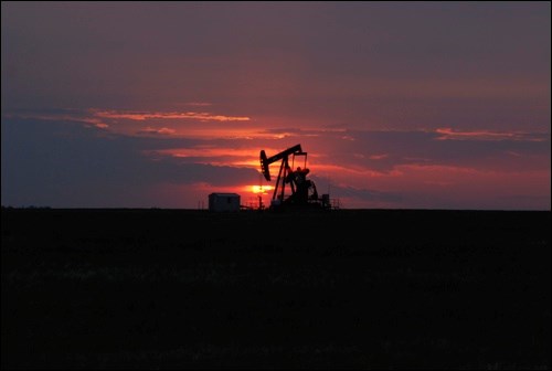 oil pump pic