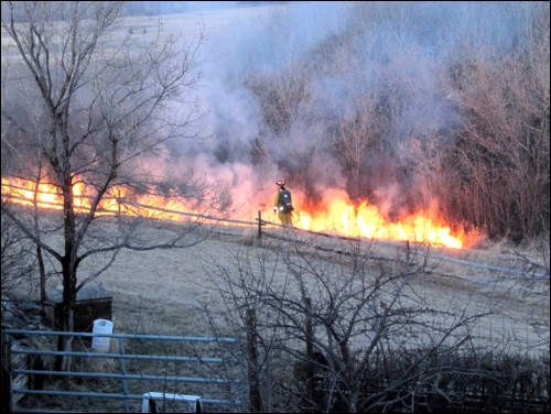 grass fire pic