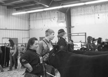 4-H COMPETITIONS