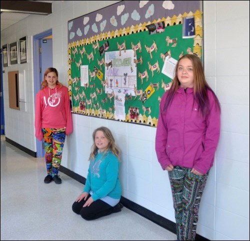 A bulletin board at St. Vital Catholic School in Battleford shows how many goats have been purchased for families in Haiti and Kenya through fundraising done by the school’s We to Me club. Left to right are Jordan Heintz, Hannah Kopp and Jayd Beasse. Photos by Jayne Foster