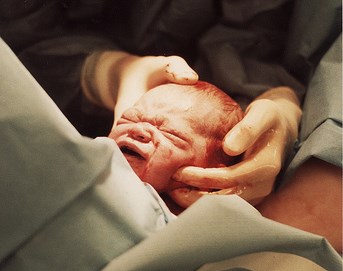 Newborn