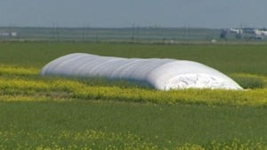 Grain Bag Recycling