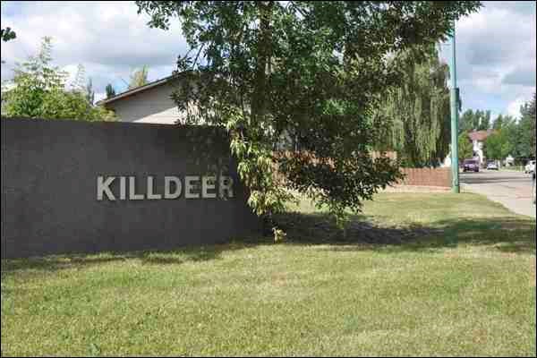 Killdeer park pic
