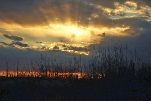 rural scene pic