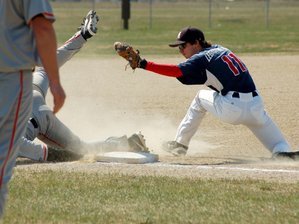 twins 2015 baseball