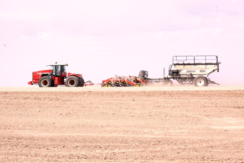 Seeding