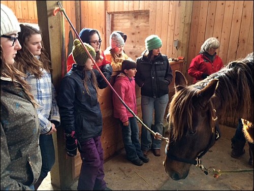 Reigning Riders listening intently as Meg Sparrow works on a horse.