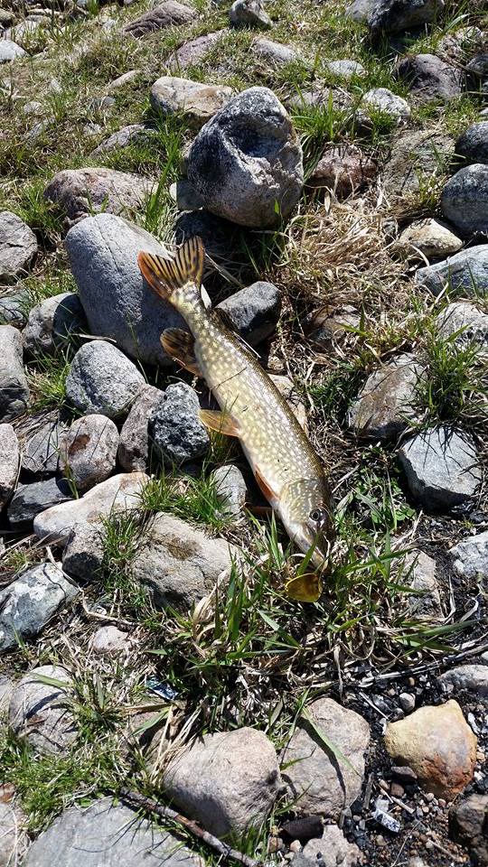 Fishing