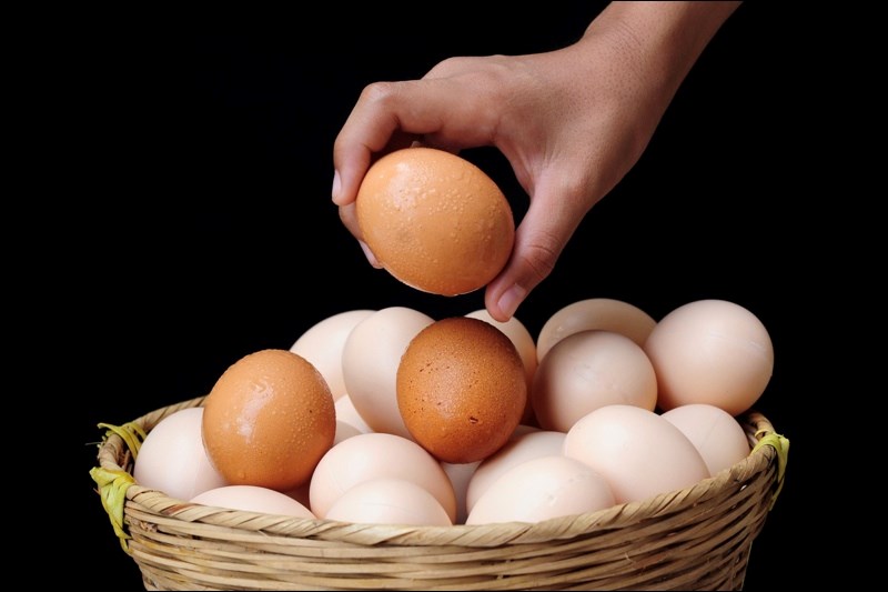 Eggs are not in the mining basket