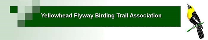 Yellowhead Flyway Birding Trail Association