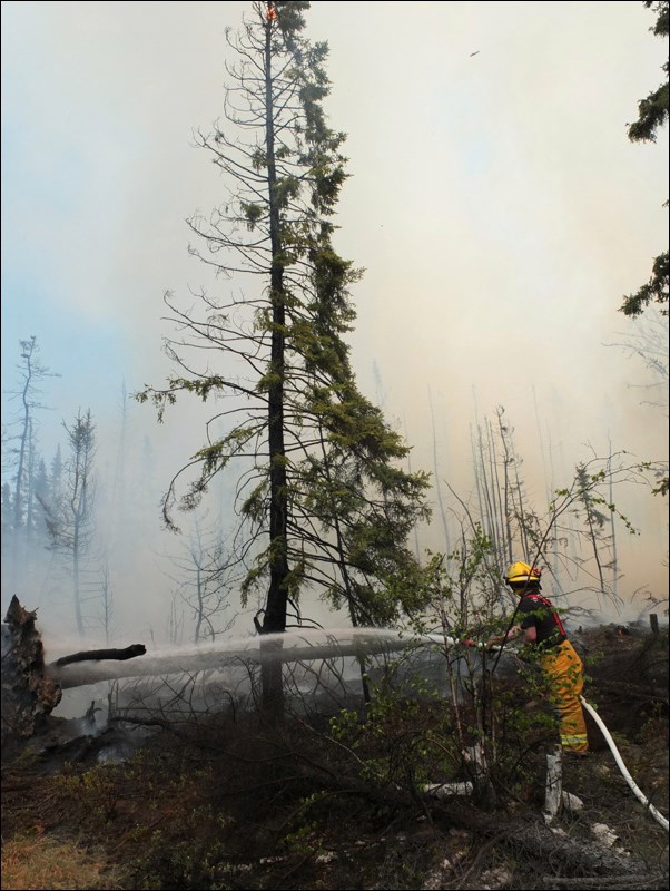 Firefighter Damien Dominey