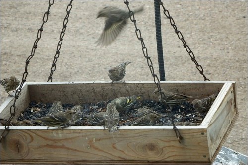 Food for All. Photo by Louise Lundberg