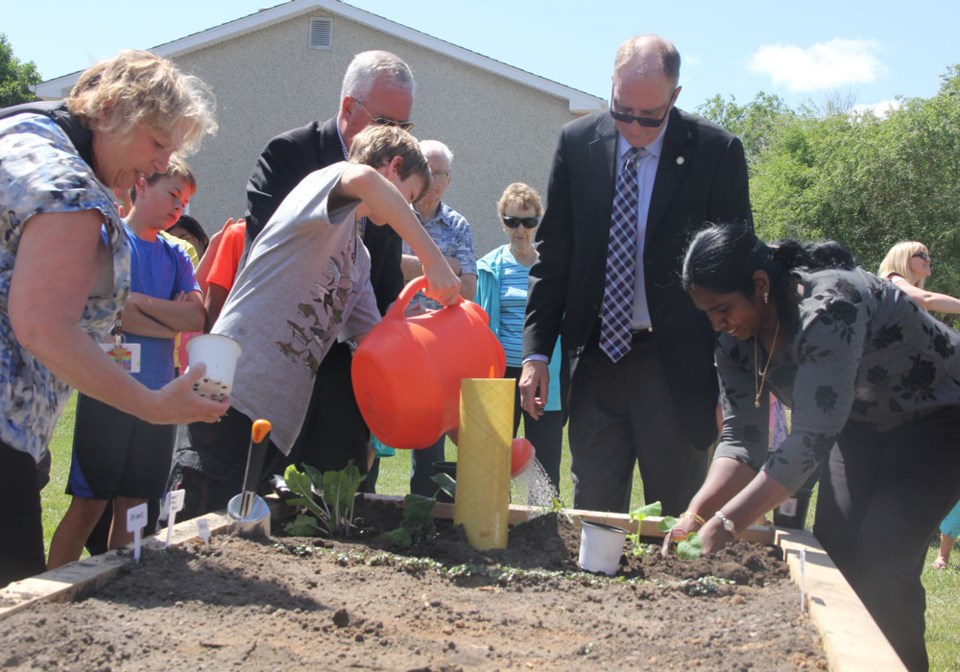 community garden