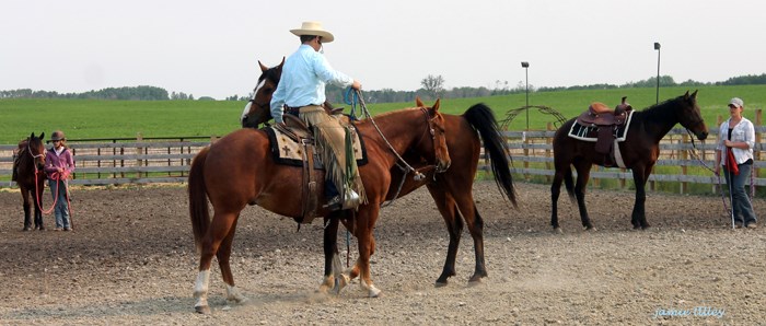 Tilley’s Horsemanship Clinic