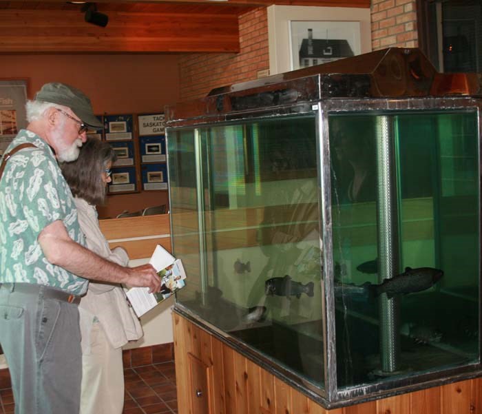 Fish culture station