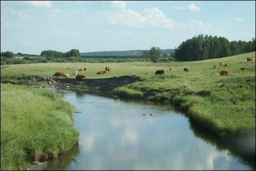 rural scene pic