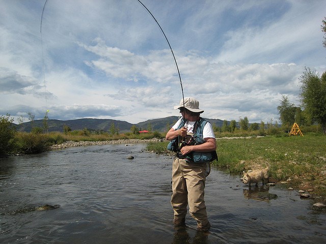 fish