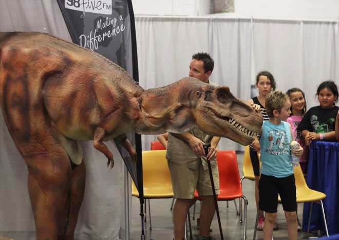 Prevo, the baby T-Rex