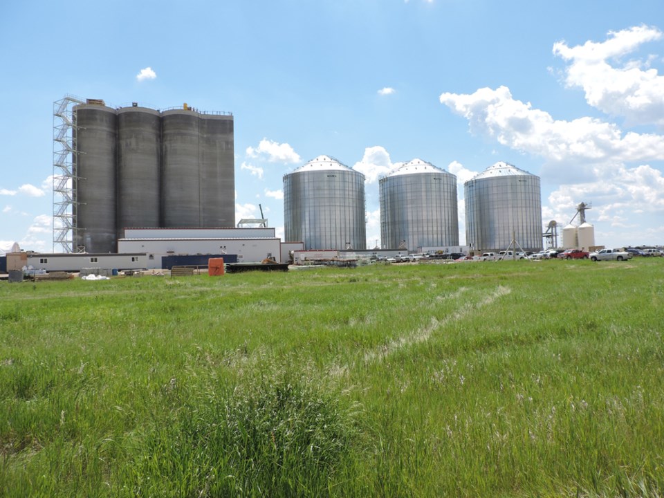 Ceres building grain terminal online