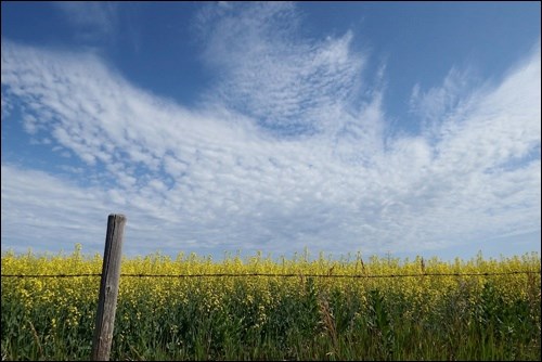 Summer in Saskatchewan_2
