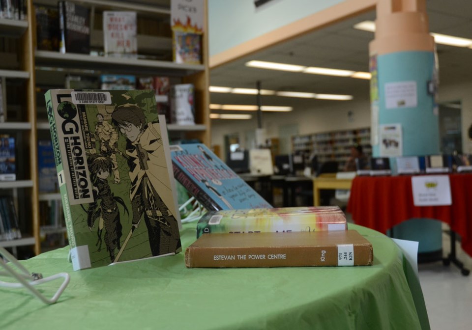 books, estevan library