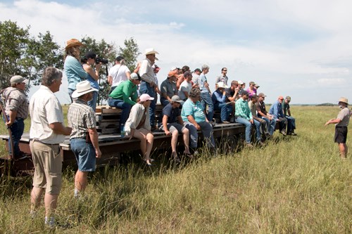 Holistic Management Field Day