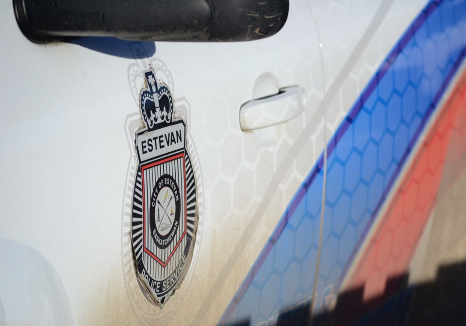 cop, police