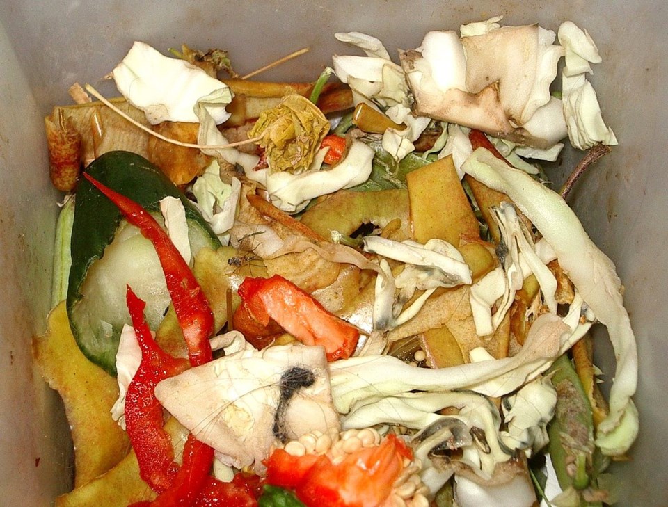 Organic waste