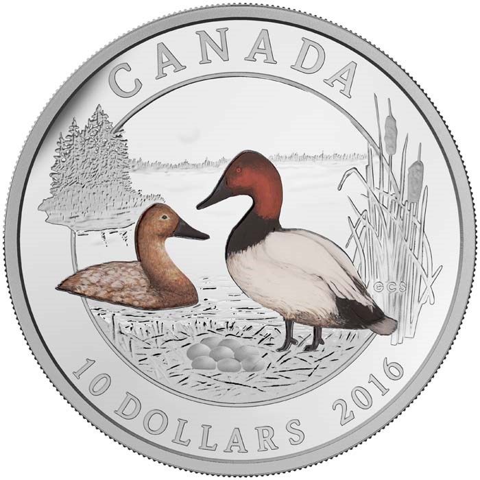 “Canvasback Duck” coin