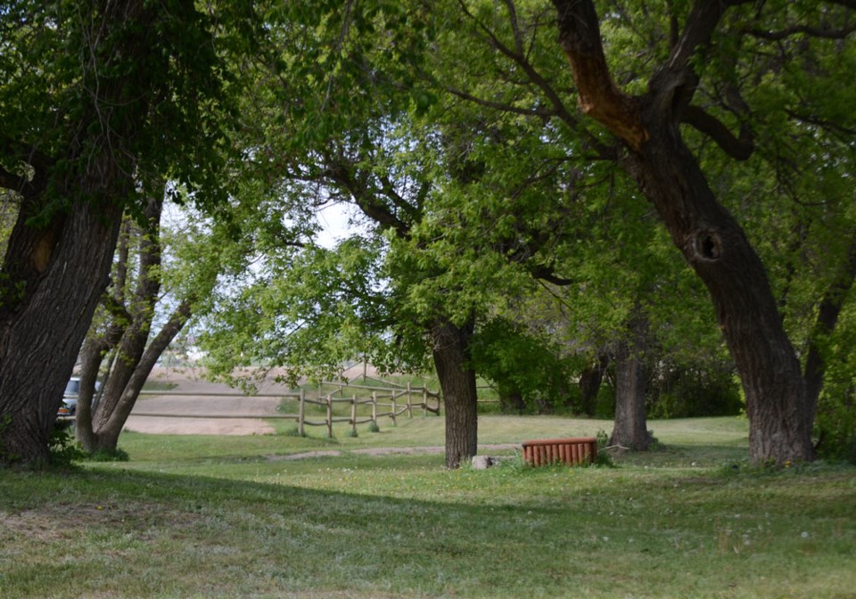 parks, dog park