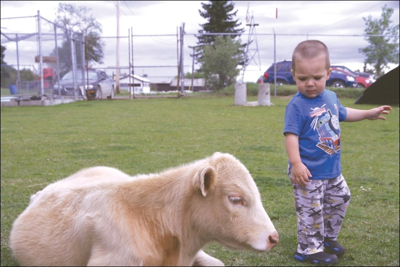 Zoo
