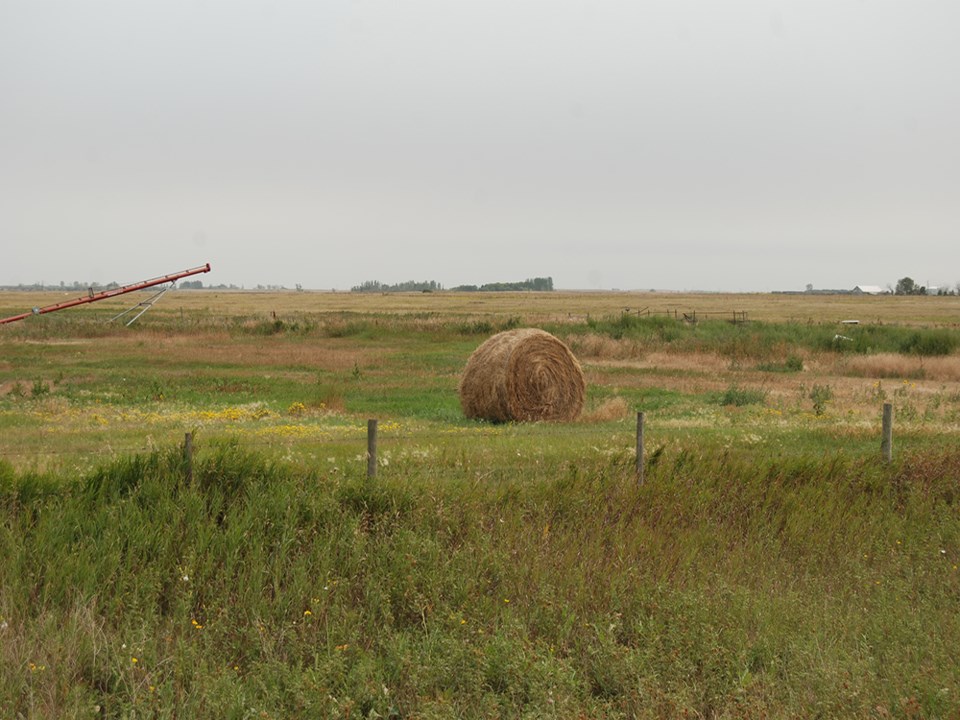 Farmland near the dam