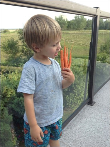 Alfred Blanchard prepares to take a chomp out of strange carrot grown in his grandmother’s garden. Photo by Becky Doig