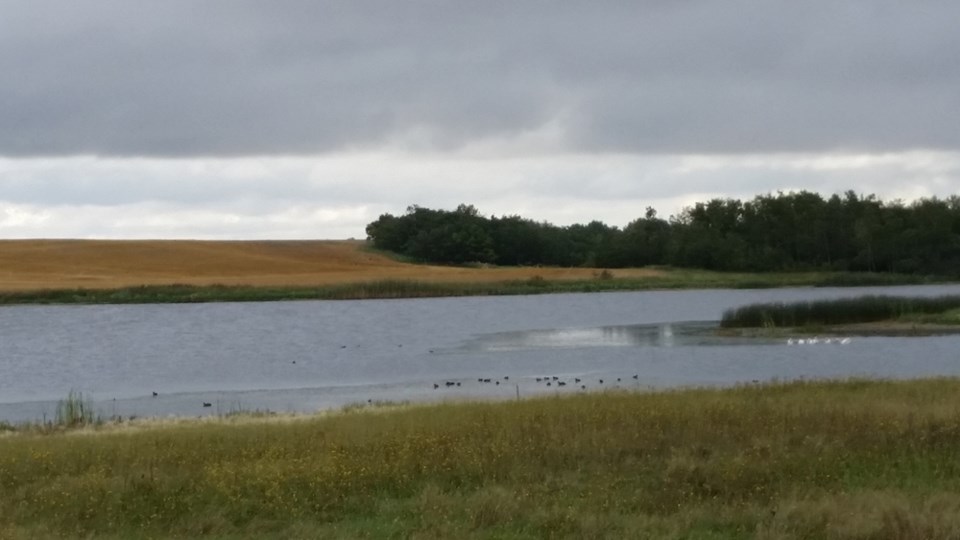 Ag Drainage