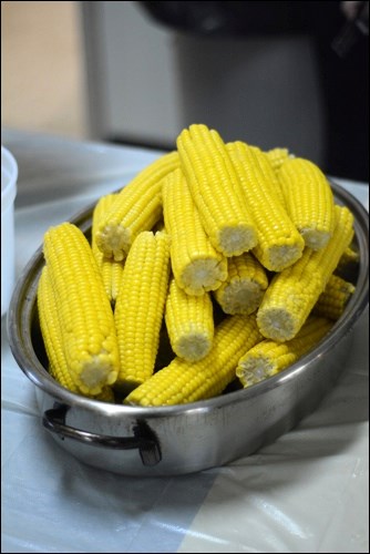 corn pic