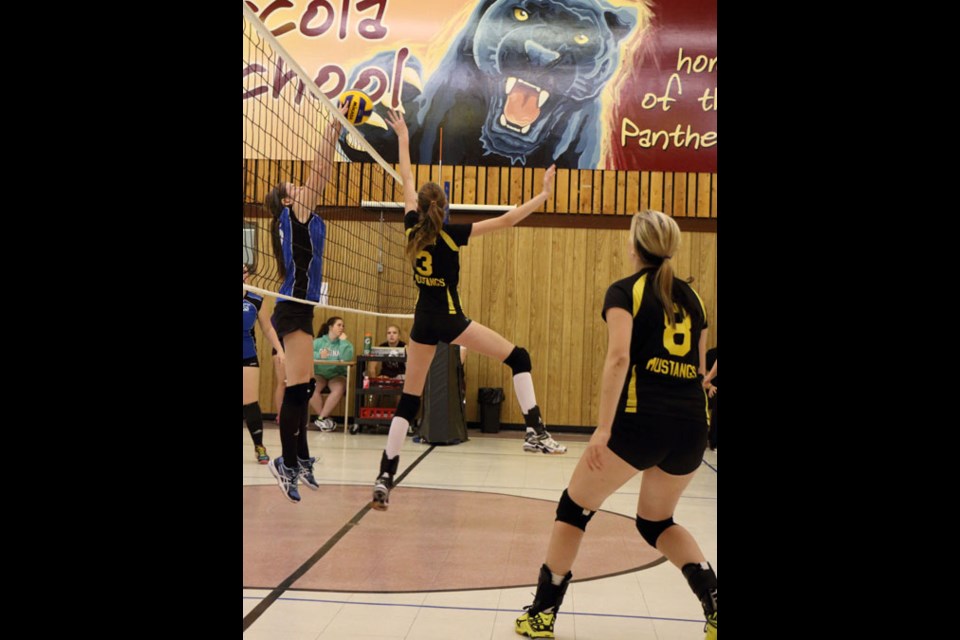 Haley C. of Manor pushes a tight set past a defender during tournament action in Arcola to kick off the high school volleyball season.