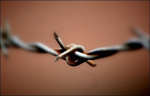 barbed wire