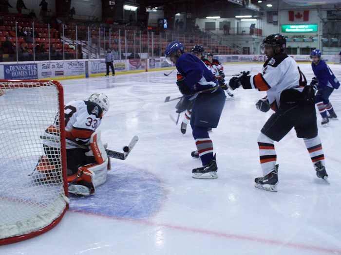 Yorkton Terriers