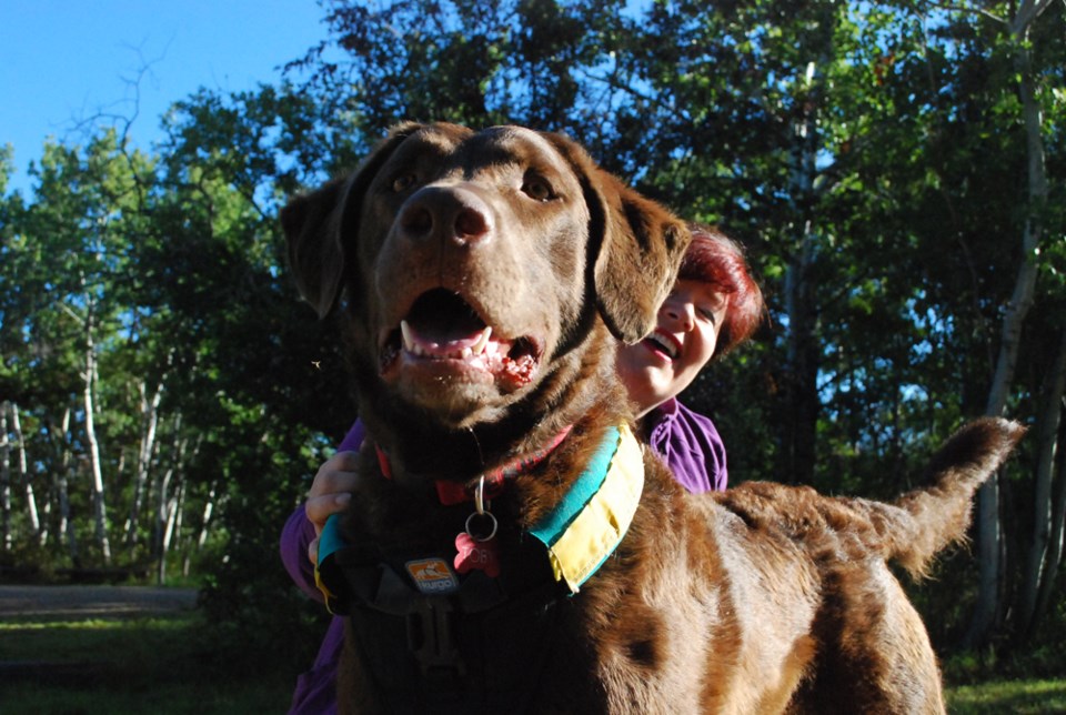 dog
