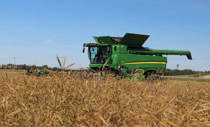 Harvesting for health – The canola crop comes off the field at the Health Foundation Farming for Health project. Three separate combines from each of the local dealers took off the crop, and the site was also used by BASF as a demonstration site, to demonstrate their HEAT product to assist with straight cutting canola.