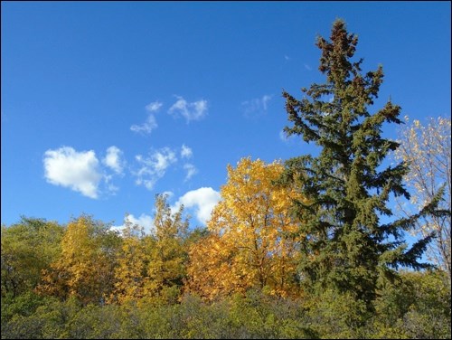 fall rural scene pic